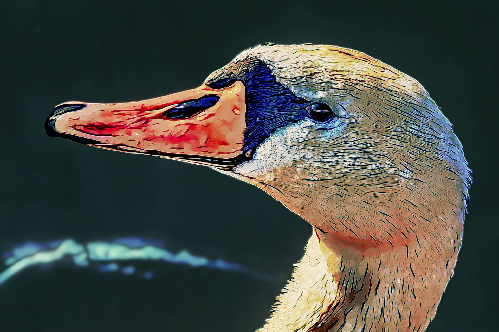 Mein lieber Schwan